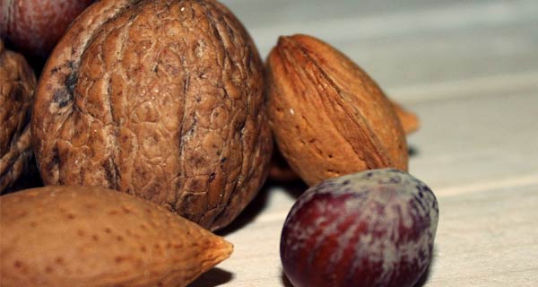 Prodotti biologici e frutta secca oleosa