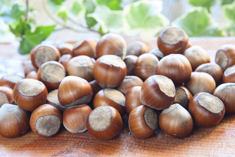 nocciole in guscio